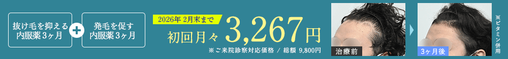 薄毛ストップ・予防3ヶ月コース
